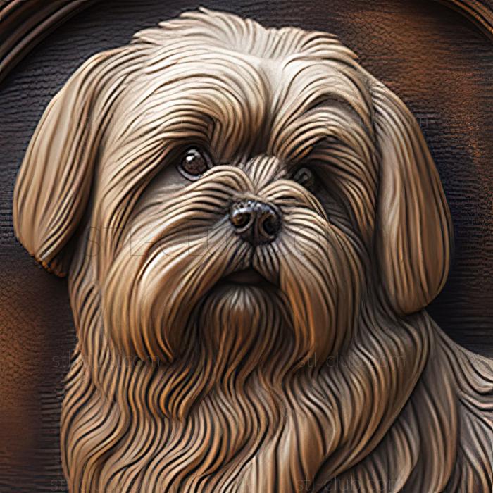 st Lhasa APSO dog